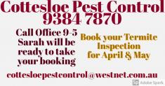 Termite inspections Claremont Pest Control Contractors &amp; Services 3 _small