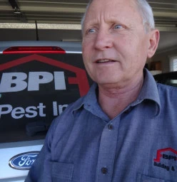 The Best Pest And Building Inspection Services In Queensland Qld Homeimprovement2day