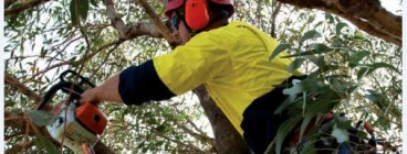 FREE QUOTES Wongawallan Arborists &amp; Tree Surgery