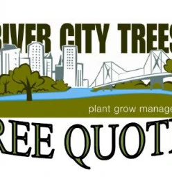 FREE QUOTES Brisbane Tree Cutting , Felling &amp; Removal