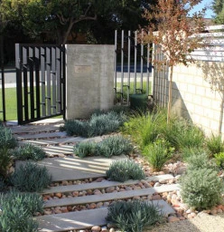 WALDA Bronze Award 2019 Fremantle Garden and Landscape Designers