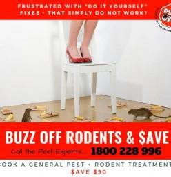 Combined Discount Offer 1 - Save $50 Blacktown Pest Control Contractors &amp; Services