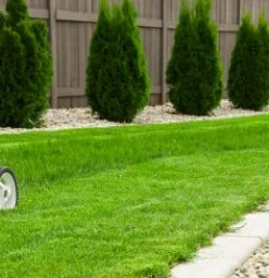 10% off your first lawn care service Sydney (cbd) Garden Maintenance &amp; Lawn Mowing