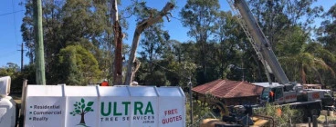 Free Quote North Sydney Arborists &amp; Tree Surgery
