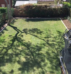 FREE stump treatment or weed spraying ! Sydney (cbd) Garden &amp; Landscaping Contractors &amp; Services
